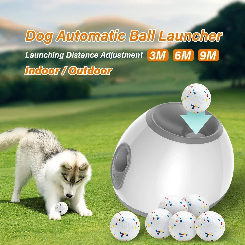 Mini Automatic Pet Tennis Thro - Catapult Launcher Toy review and price